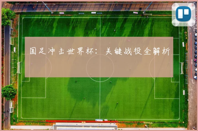 国足冲击世界杯：关键战役全解析